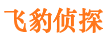 沙河市私家侦探